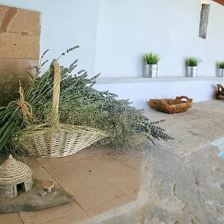 Longo Tatil Evi